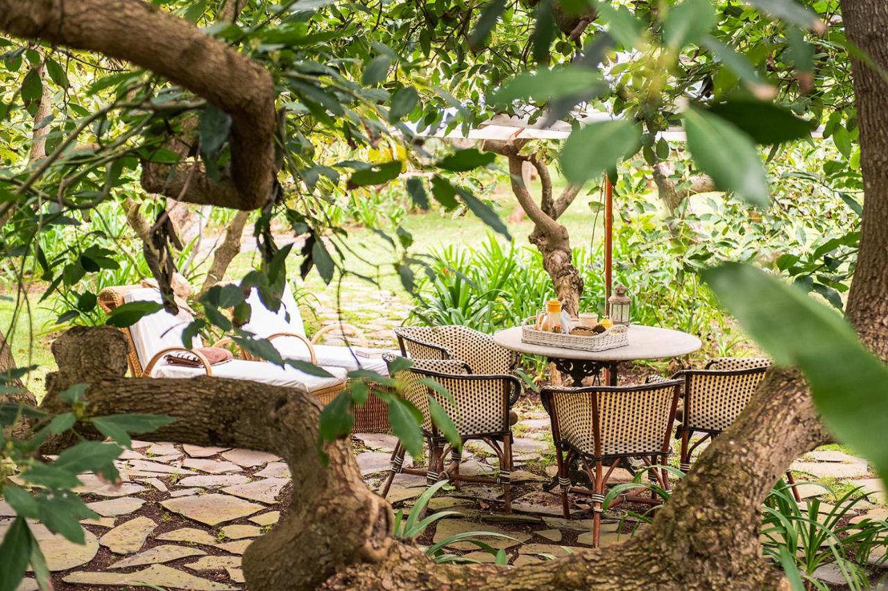 Homeforguest Cosy Rural Flat El Romero With Large Gardens Такоронте Екстериор снимка