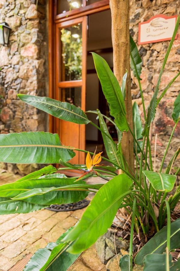 Homeforguest Cosy Rural Flat El Romero With Large Gardens Такоронте Екстериор снимка
