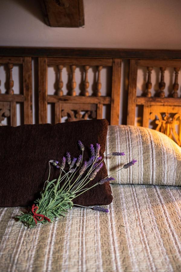 Homeforguest Cosy Rural Flat El Romero With Large Gardens Такоронте Екстериор снимка
